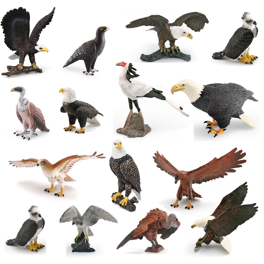 Kids Toys Under 1 Year - リアルな野生動物、猛禽類、ハゲワシ、ゴールデンイーグル、白頭ワシ、秘書鳥の模型、フィギュア、教育用コレクション玩具