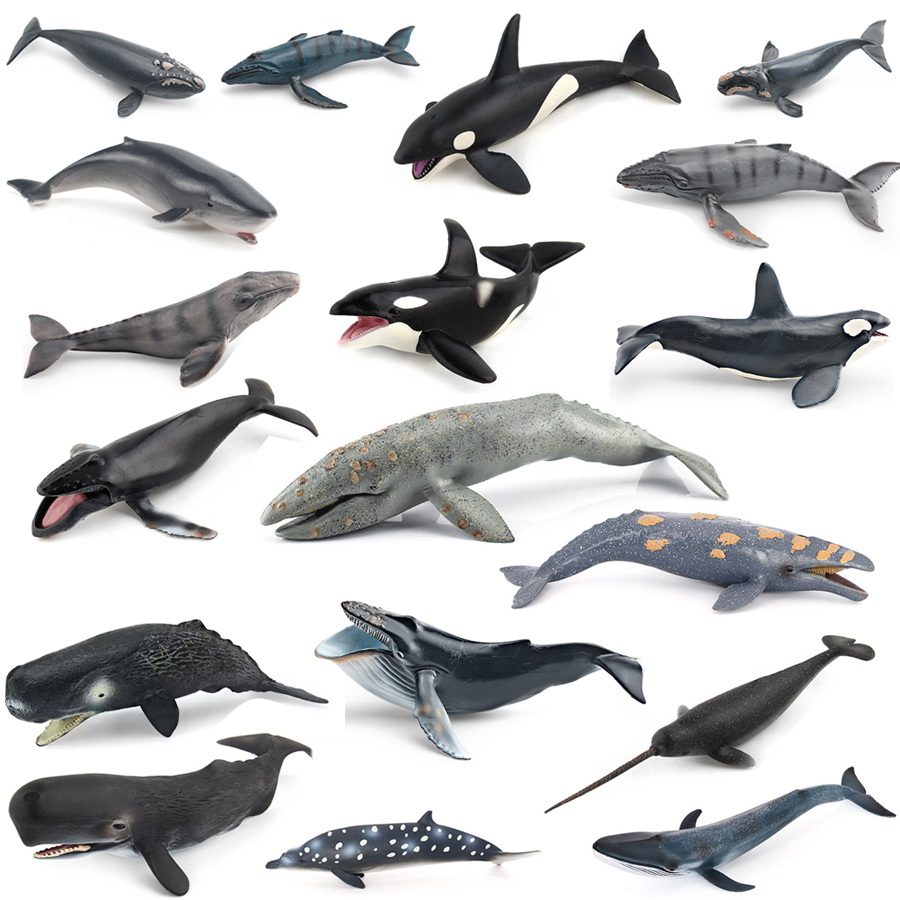Kids Toys Under 1 Year - リアルなザトウクジラ、カジキ、イッカク、シャチ、海洋生物動物モデル、アクションフィギュア、教育装飾玩具