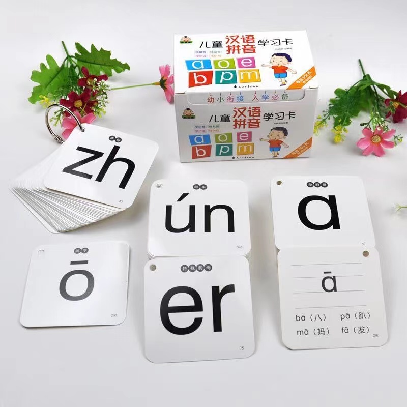 Kids Toys Now - 赤ちゃんと子供のための中国の音のカード,赤ちゃんの学習用のメモリカード,教育玩具,子供用,赤ちゃん用,252ピース/セット