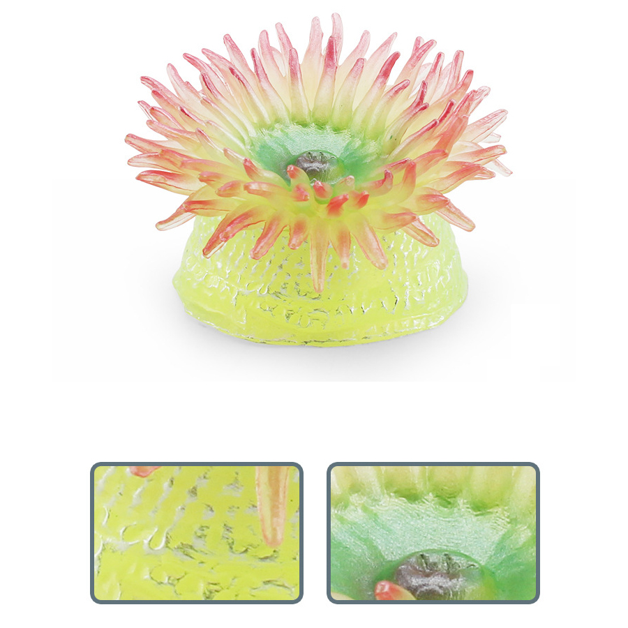 リアルなサンゴ海のアネモネ海洋生物動物プラスチックモデルフィ - Kids Toys Under 1 Year のレビューと価格