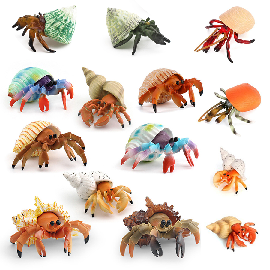 リアルなヤドカリフィギュア耐久性のあるPVC海洋生物動物モデ - Kids Toys Under 1 Year のレビューと価格