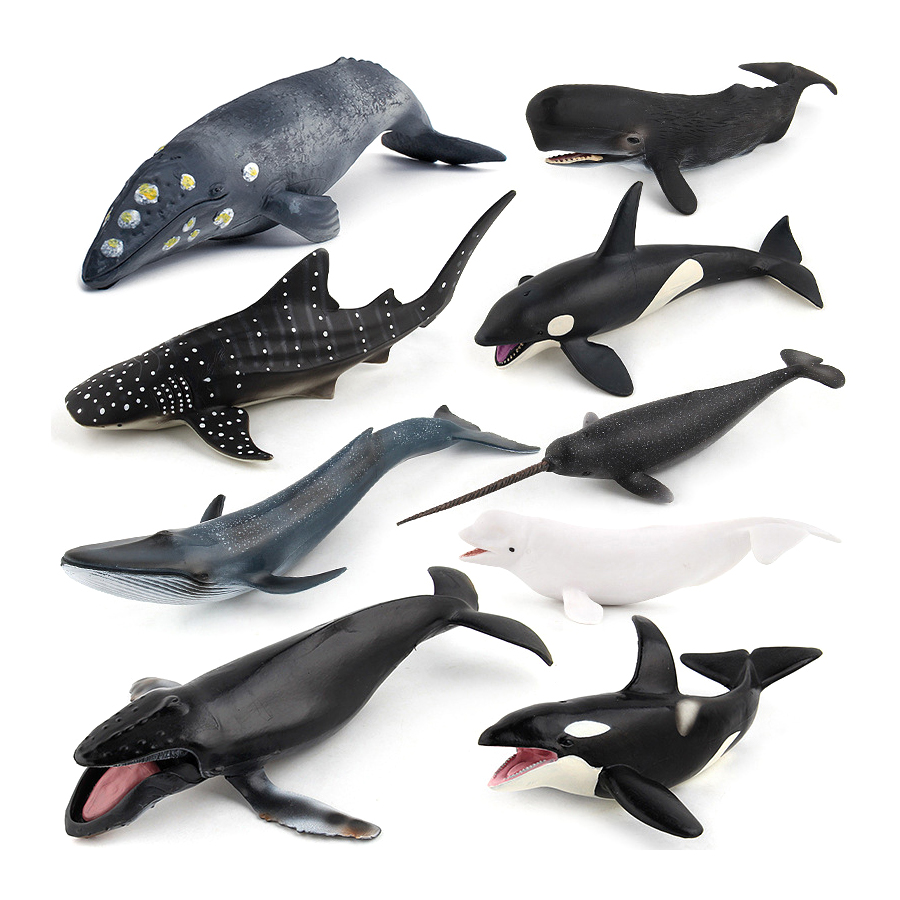 リアルなザトウクジラ、カジキ、イッカク、シャチ、海洋生物動物 - Kids Toys Under 1 Year のレビューと価格