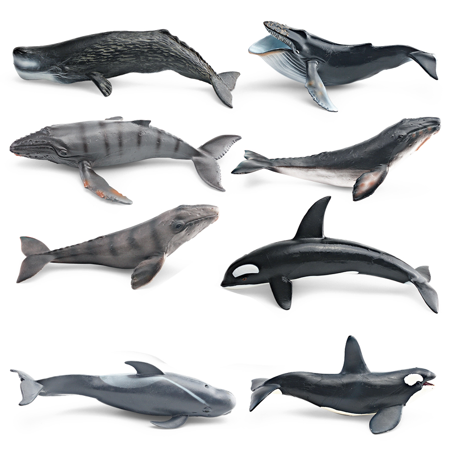 リアルなザトウクジラ、カジキ、イッカク、シャチ、海洋生物動物 - Kids Toys Under 1 Year のレビューと価格