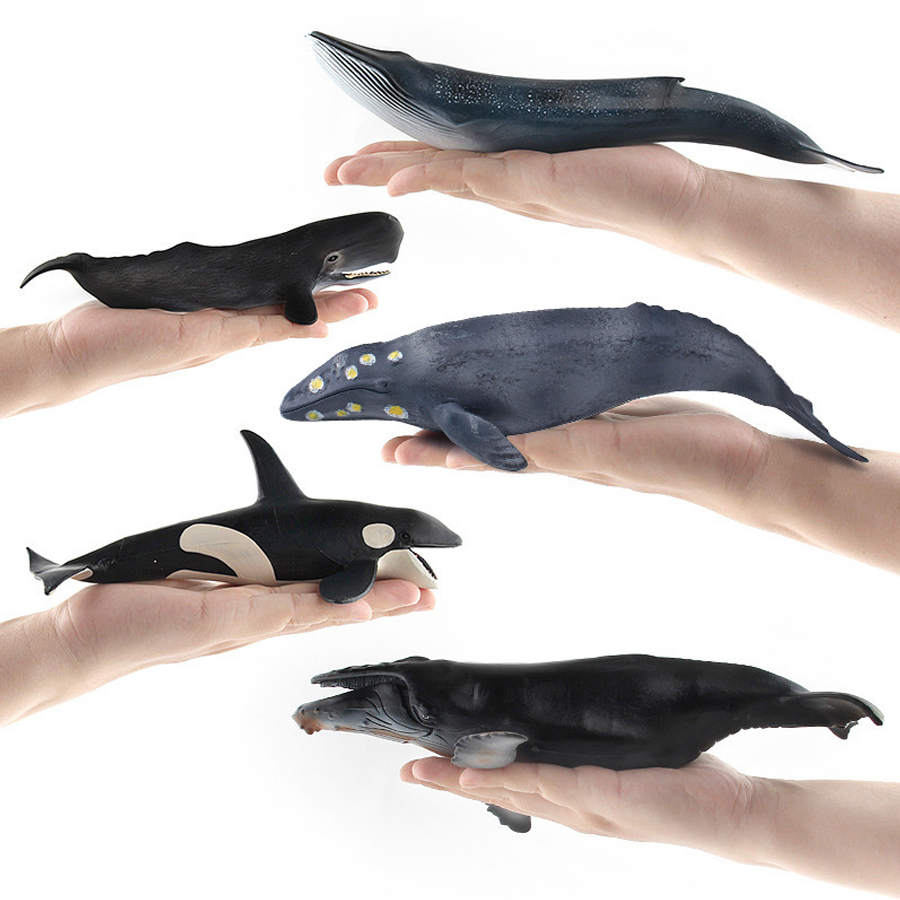 リアルなザトウクジラ、カジキ、イッカク、シャチ、海洋生物動物 - Kids Toys Under 1 Year のレビューと価格