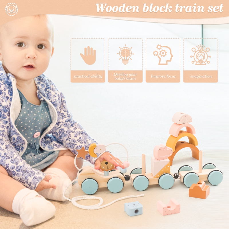 木製モンテッソーリおもちゃ動物ブロック列車ビルディングブロッ - Kids Toys 2 Year Old のレビューと価格