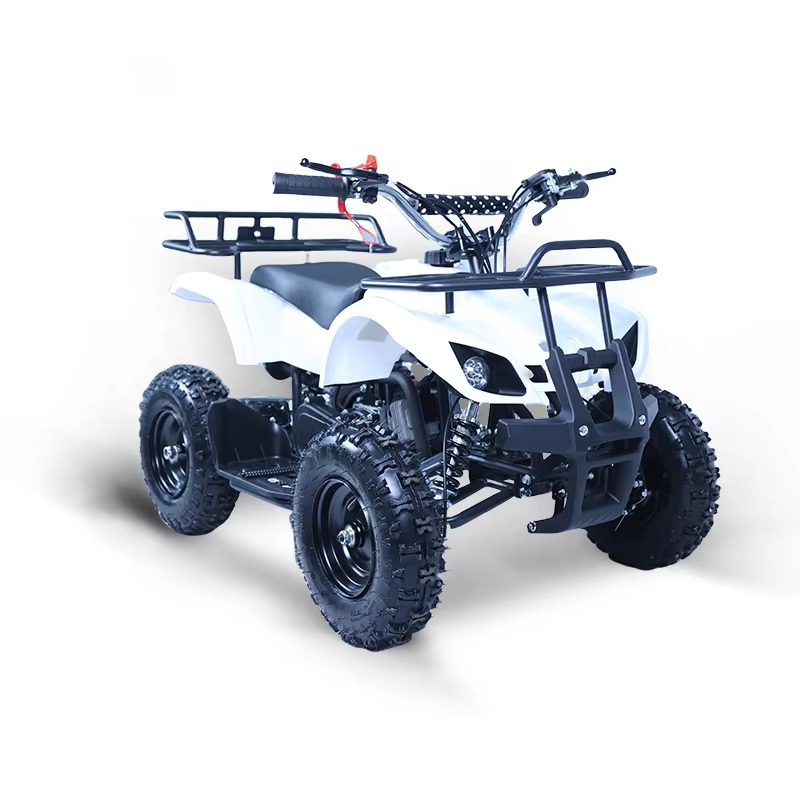 49ccミニATVキッズクワッドバイク2ストロークガソリンエ - Kids Toys Quad のレビューと価格