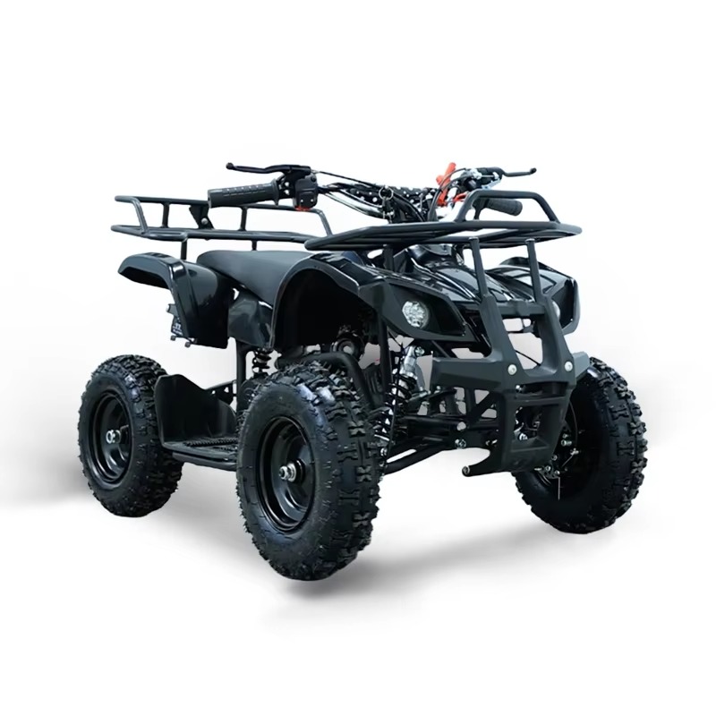 49ccミニATVキッズクワッドバイク2ストロークガソリンエ - Kids Toys Quad のレビューと価格